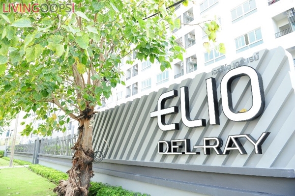 Review Elio Del Ray by LivingOops  (12)