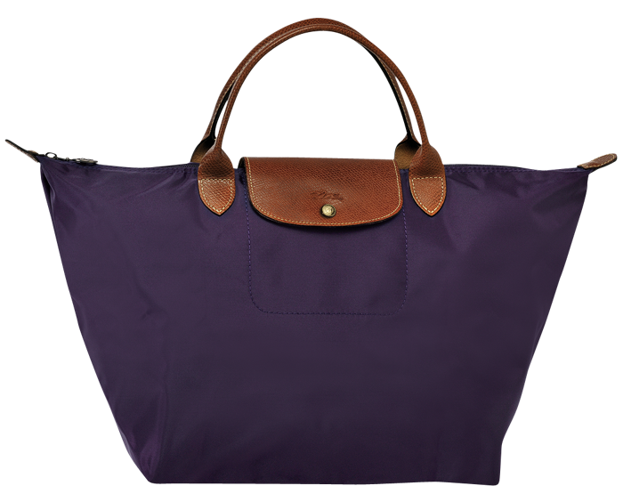 longchamp_handbag_le_pliage_1623089645_0