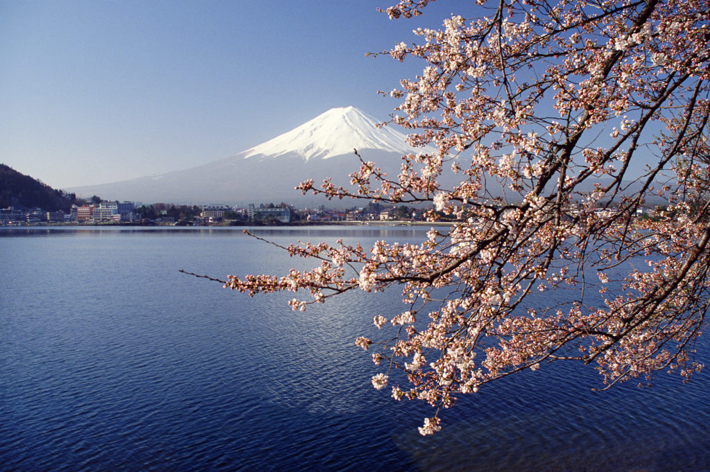 Lake in front of a mountain, Mount Fuji, Lake Kawaguchi, Japan