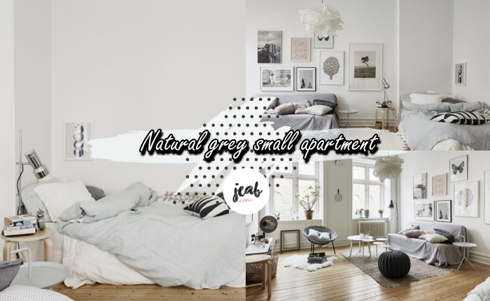 natural-grey-small-apartment