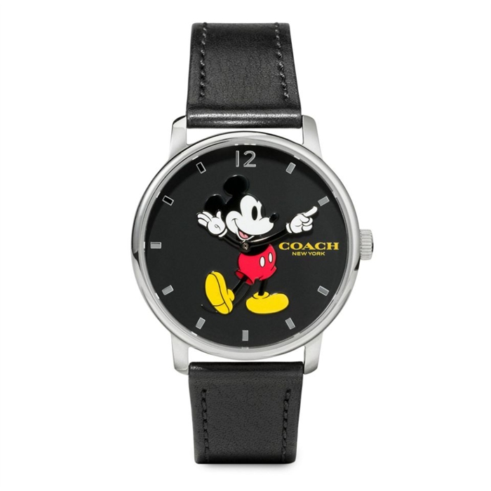 Disney-x-coach-15