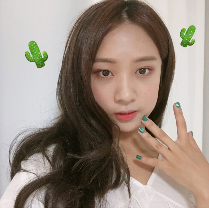 batch_0Innisfree 2018 jeju color pick - cactus (13)