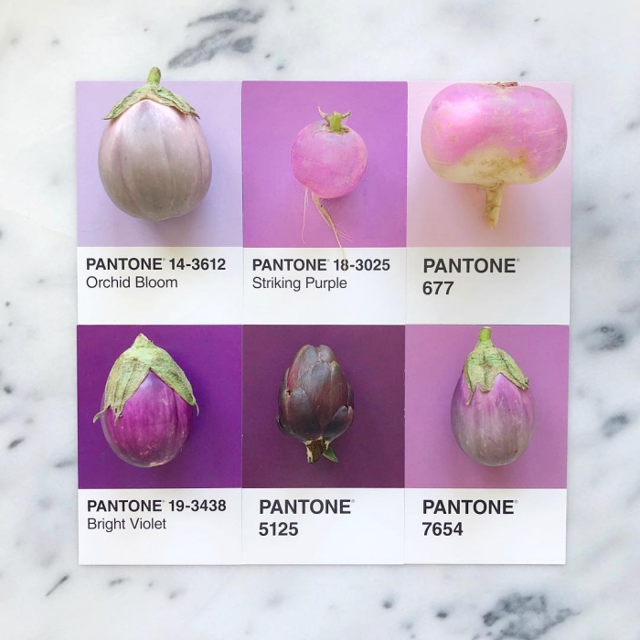 pantone art in ig @lucialitman (16)