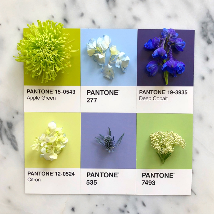 pantone art in ig @lucialitman (8)