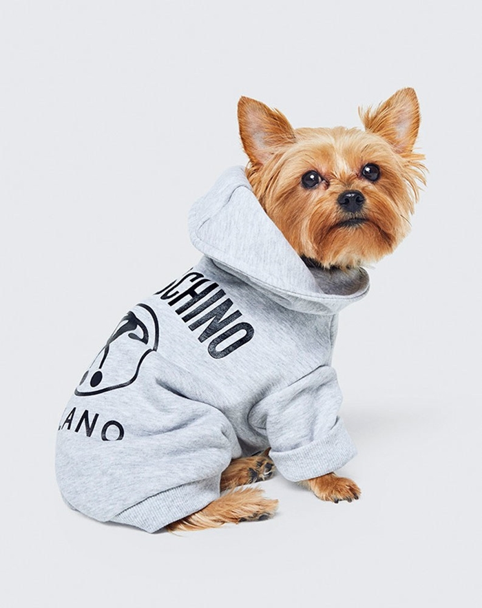 01-moschino-hm-pet