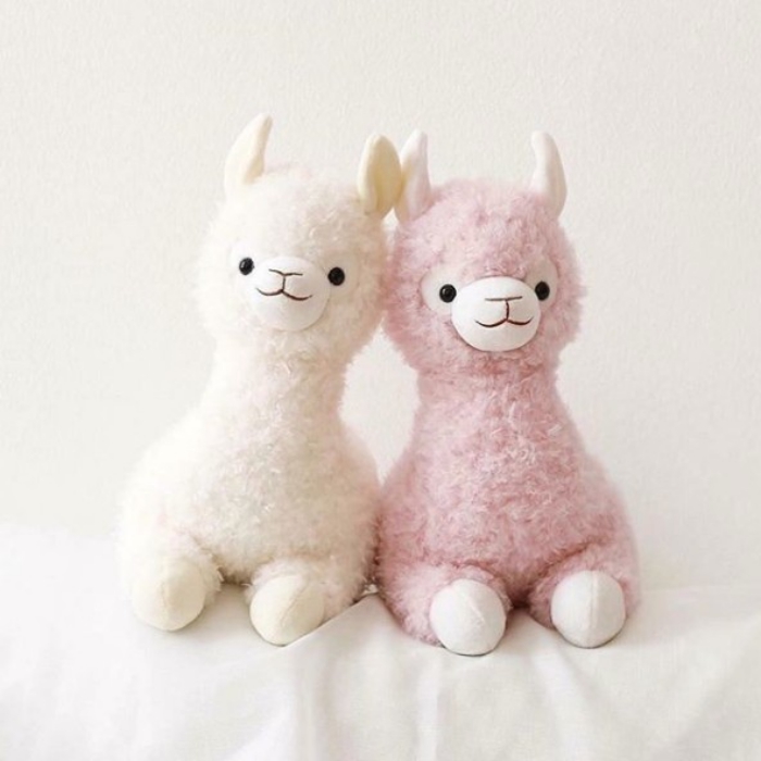 %22Dreaming Alpaca Collection%22 17