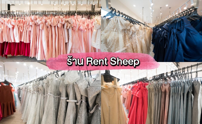 rentsheep